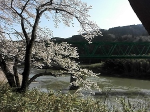 IMG_20160409_142831.jpg